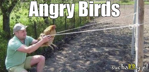 suchar, angry birds - polska wersja