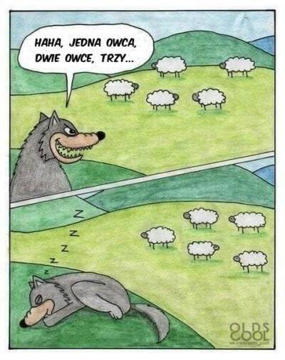 Haha, jedna owca, dwie owce, trzy...